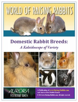 Cubierta del Libro Electrónico de razas de conejos domésticos
