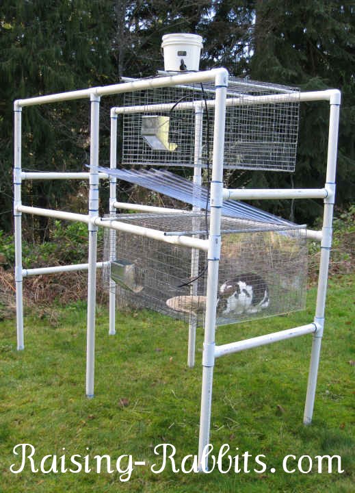 Rabbit Hutch Plans. PVC outdoor rabbit hutch set up