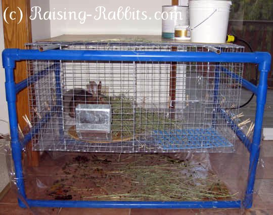 homemade indoor rabbit cages