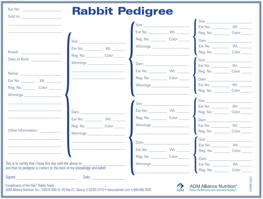 Printable Rabbit Pedigree - Printable Blank World