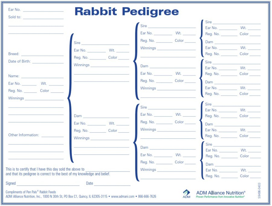 Rabbit Pedigree Chart Tool For Making Pedigrees