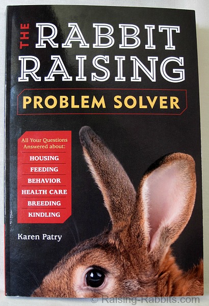 find the rabbit solution